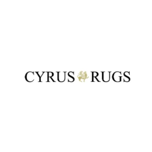 Cyrus Rugs Minneapolis Bloomington Mn Bryont Blog