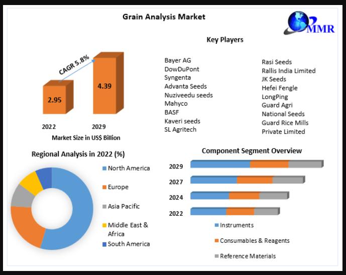Unveiling Insights Exploring Trends and Dynamics of the Grain