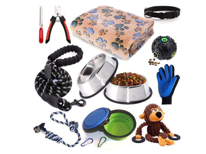 Pet Accessories Market 20232032 Global Competition, New