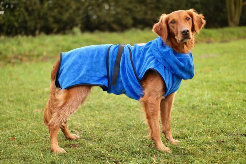 Dog Clothing Market Estimated to Reach Revenue of USD 5.0 Billion