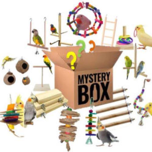 Pet Toy Mystery Boxes Market Driving Growth on Multiple Trends
