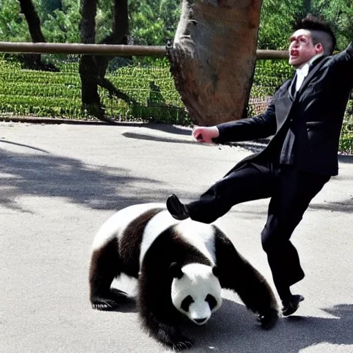 An attractive French man kicked in the face by a panda Stable Diffusion OpenArt