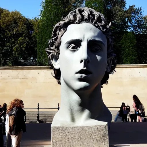 the giant sculpture of Timothee Chalamet's head Stable Diffusion