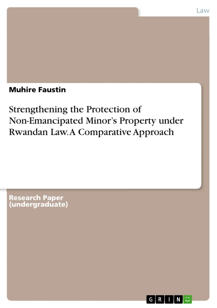 Strengthening the Protection of NonEmancipated Minor’s Property under