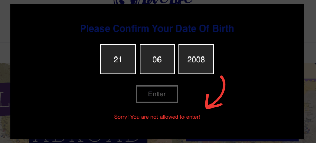 Create an Age Verification Modal for Your Website Digital Ink