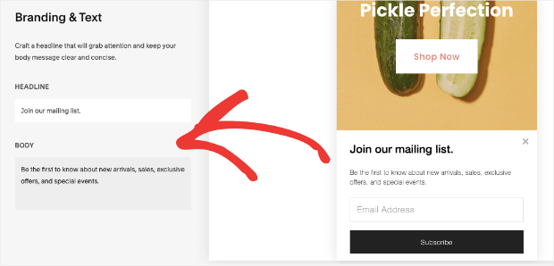 Squarespace Email Campaigns vs. Mailchimp vs. OptinMonster