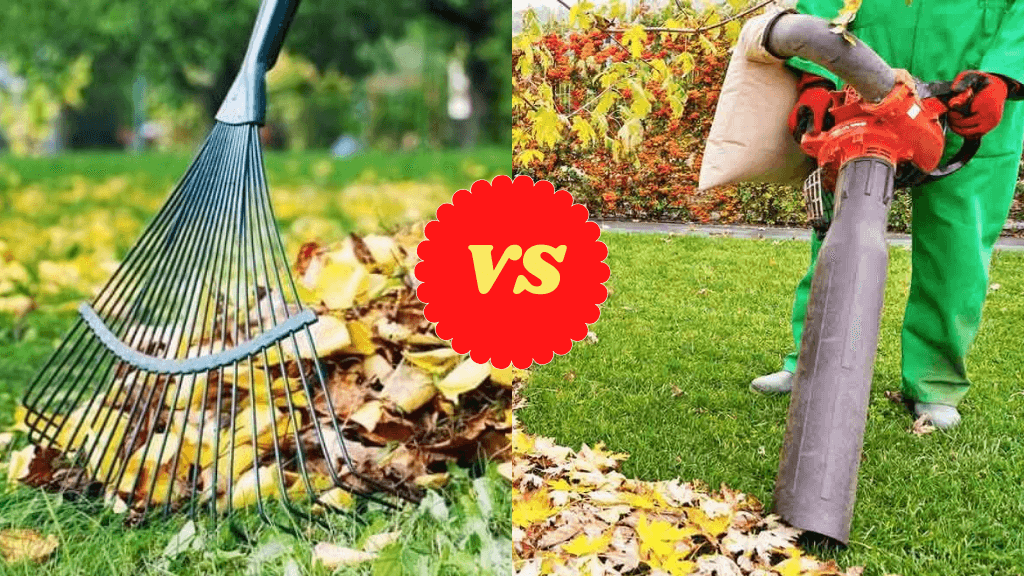 Leaf Blower vs Rake What Should You Buy? Let's Find Out