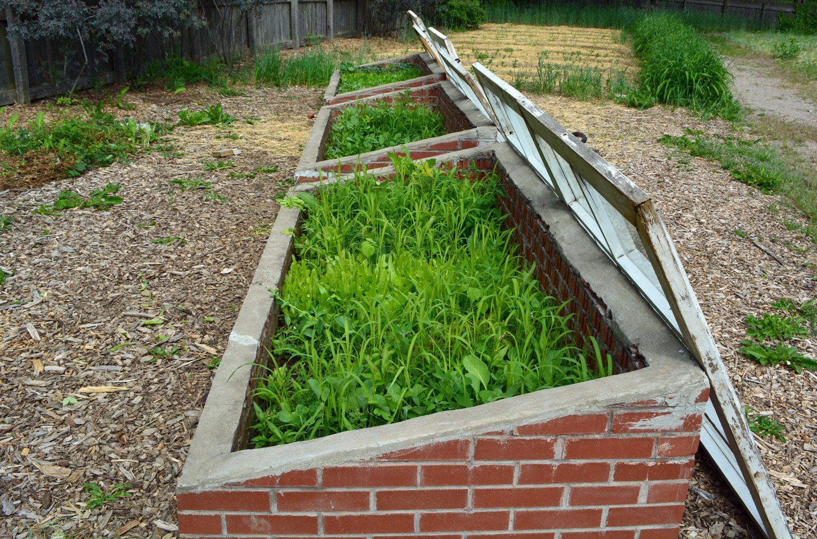 Cold Frame Vs Greenhouse Which is Better? Organize With Sandy