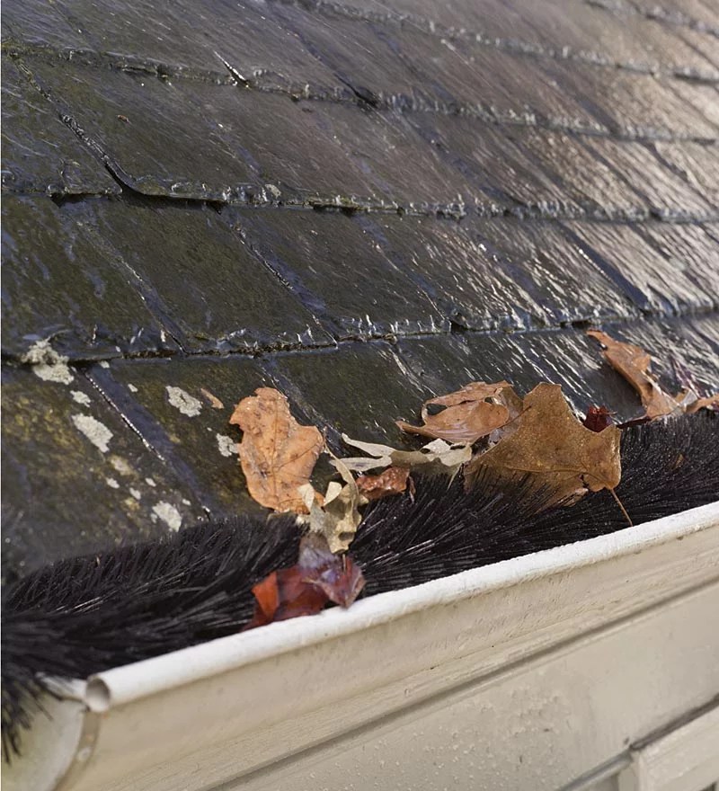 How Much Does Gutter Guard Cost Organize With Sandy