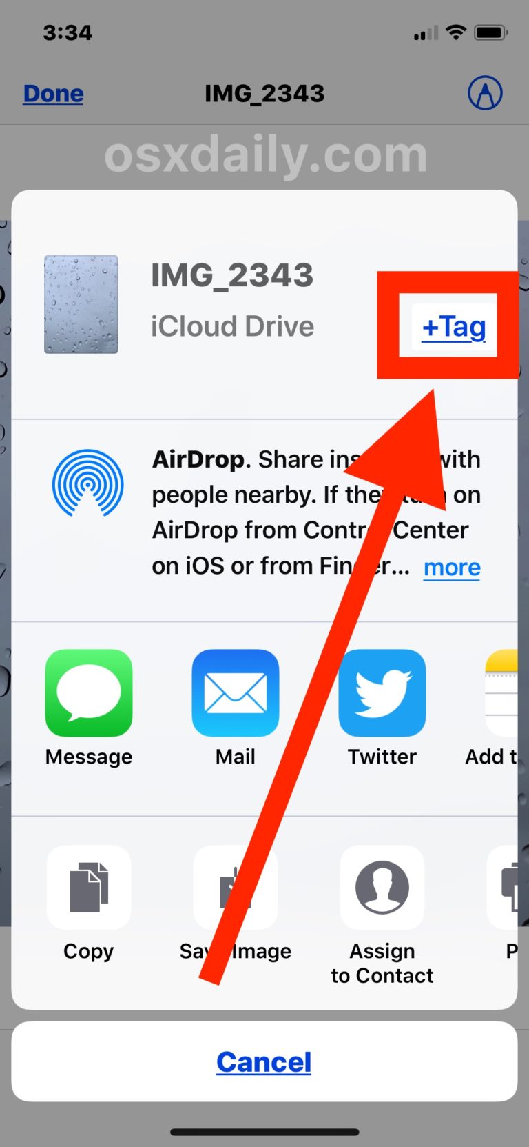 How to Tag Files on iPhone and iPad