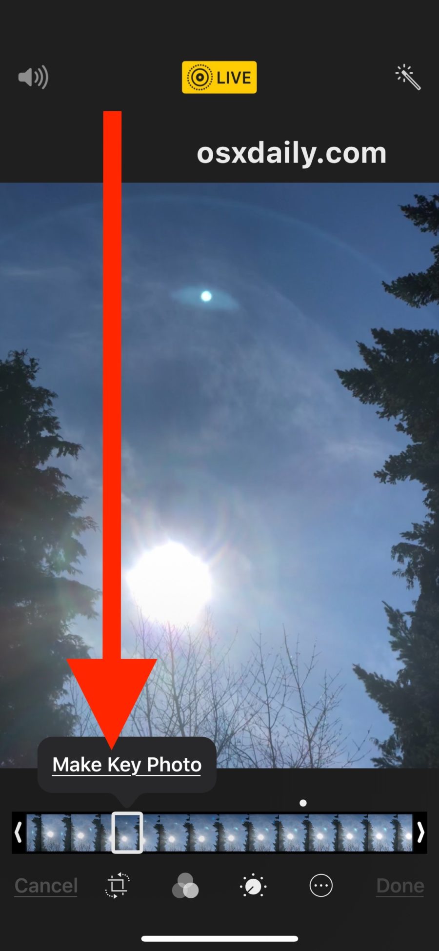 How to Change the Key Frame Photo of Live Photos on iPhone and iPad