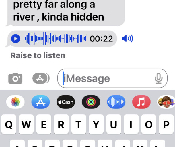 How to Send Voice Messages on iPhone & iPad in iOS 16