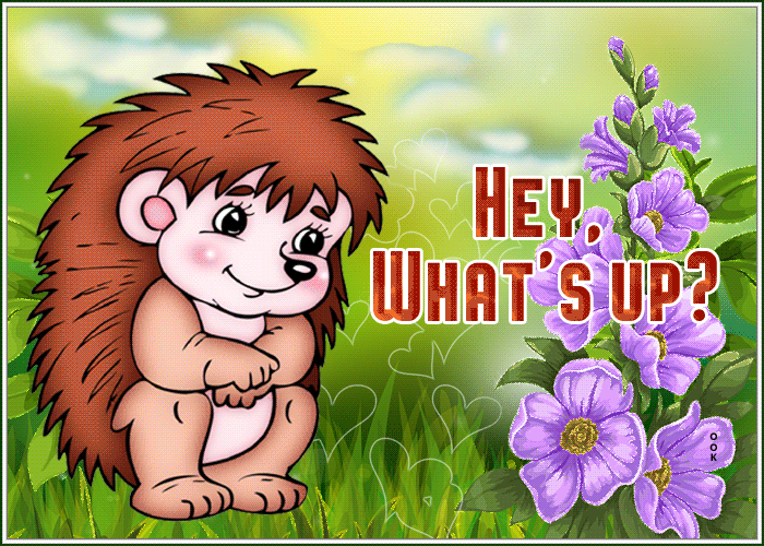 Hello Скачать бесплатно на otkritkiok.ru