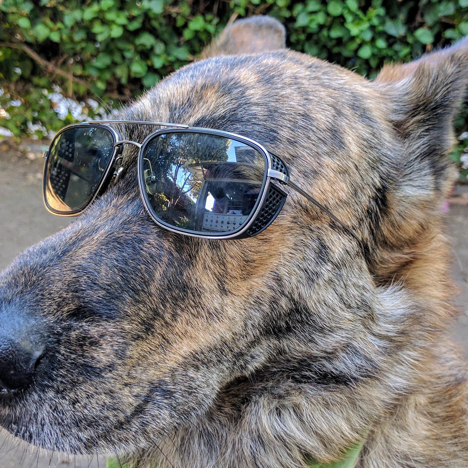 The Best Sunglasses Ever