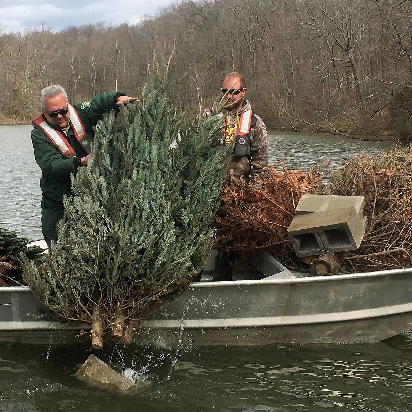 Why Is the Forest Service Dumping Christmas Trees into Ohio Lakes?