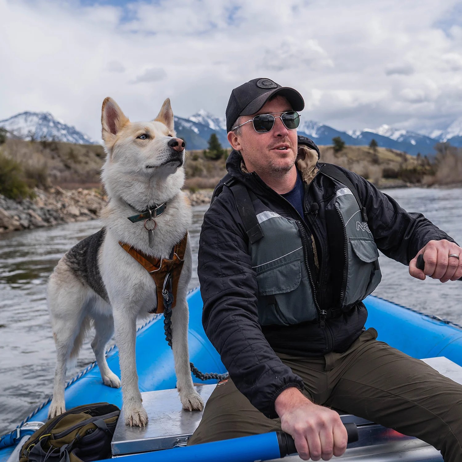 Do Dogs Need Life Jackets? Absolutely. Outside Online