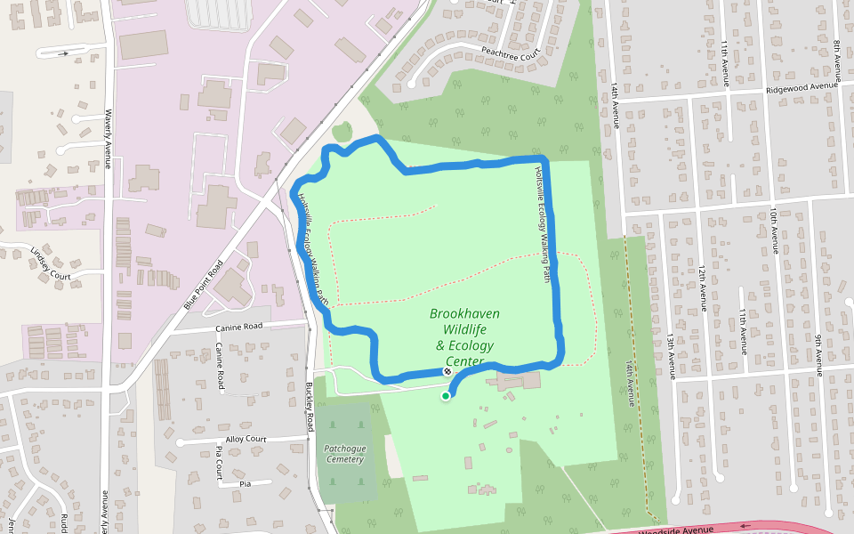 Brookhaven Wildlife & Ecology Center Walking And Running Trail