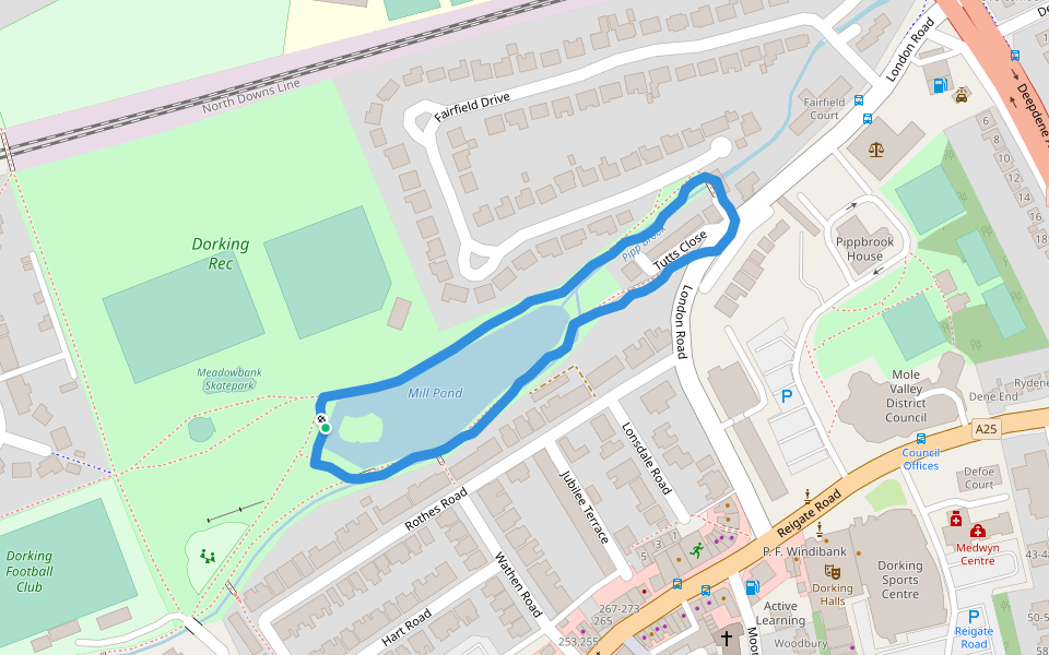 Mill Pond Walking And Running Trail Mole Valley, Dorking, England Pacer