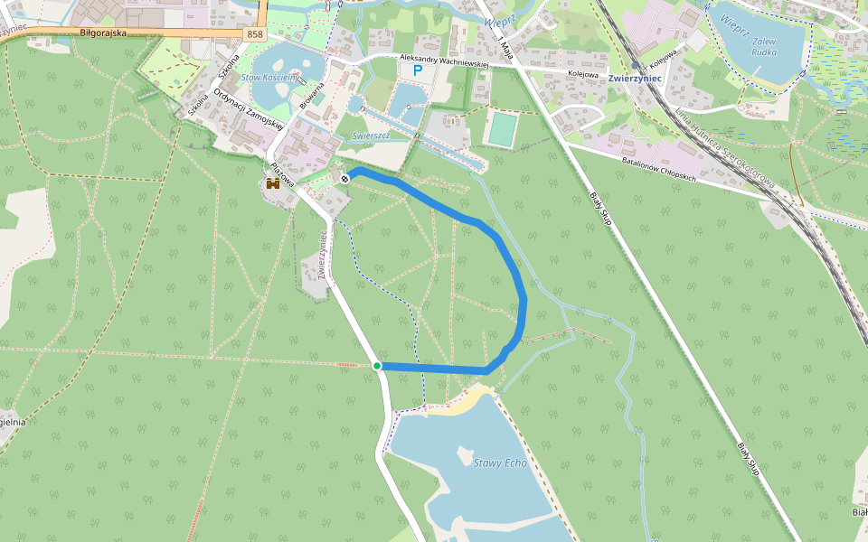 Dune path to 'Echo' ponds Hiking Trail Zwierzyniec, Lubelskie Pacer