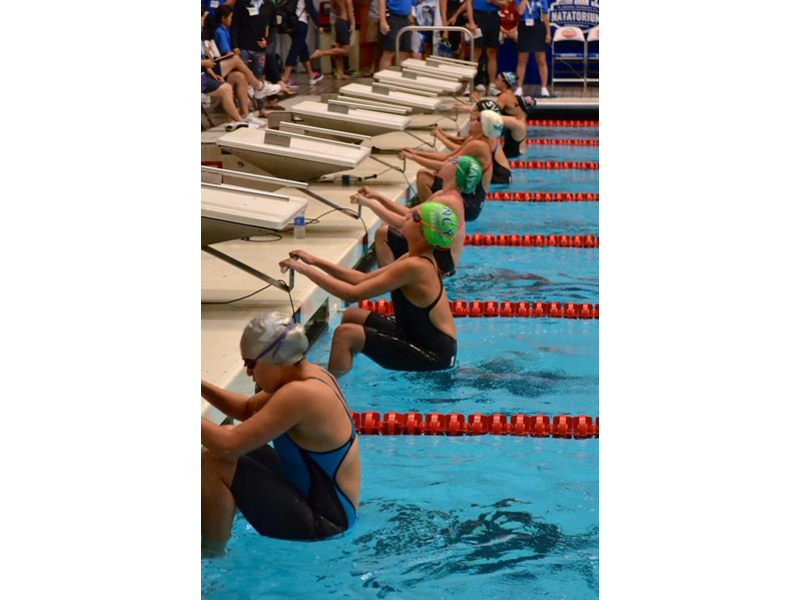 Wilton Y Wahoos Swim Team Wins Big at National Competition Wilton, CT Patch