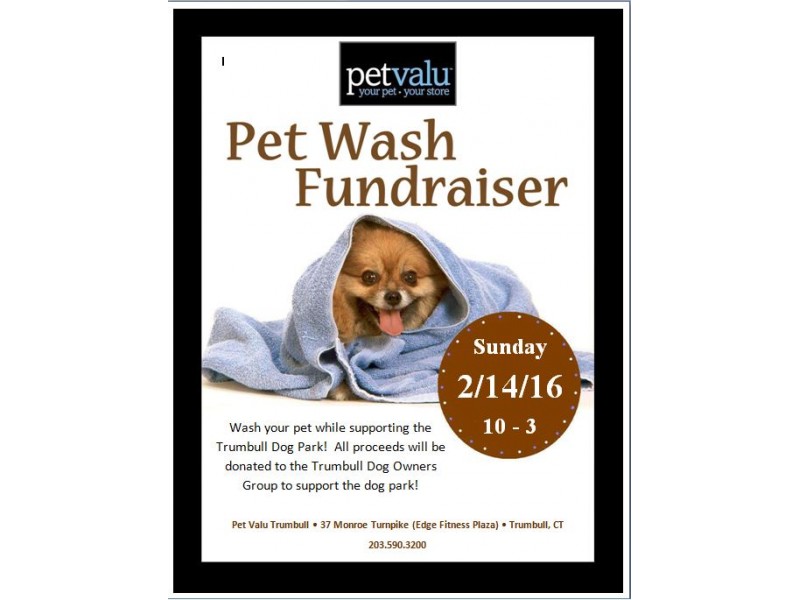 Dog Wash Fundraiser Patch