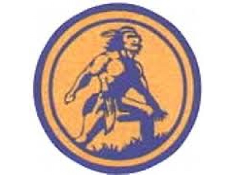 Rout the Scout or Save the Brave? Lake Forest, IL Patch