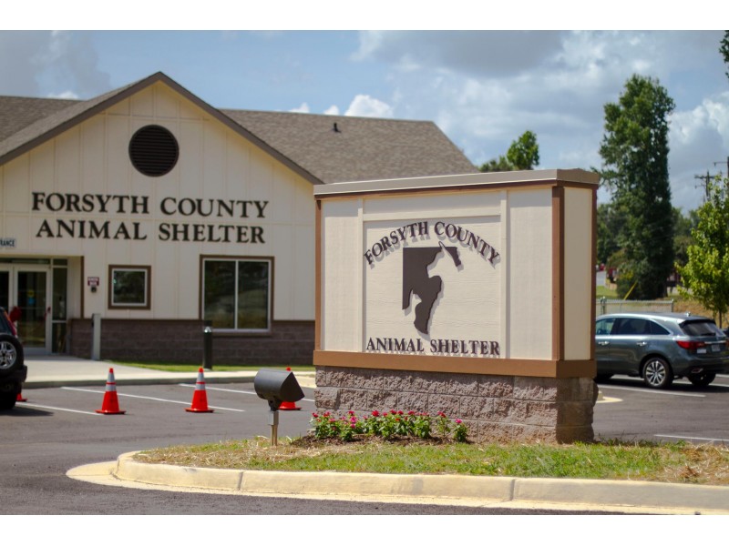 Forsyth County Animal Shelter Seeks Volunteers Cumming, GA Patch