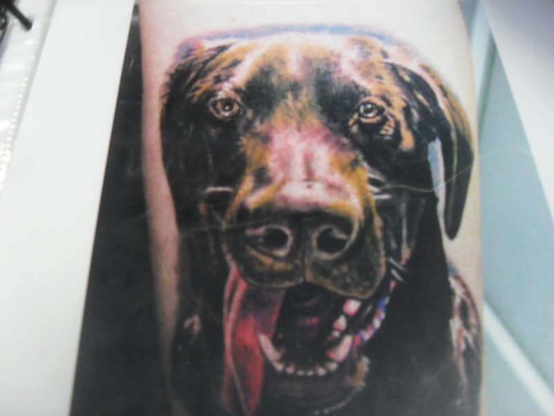 77 Tormented Souls Tattoo Kings Park, NY Patch
