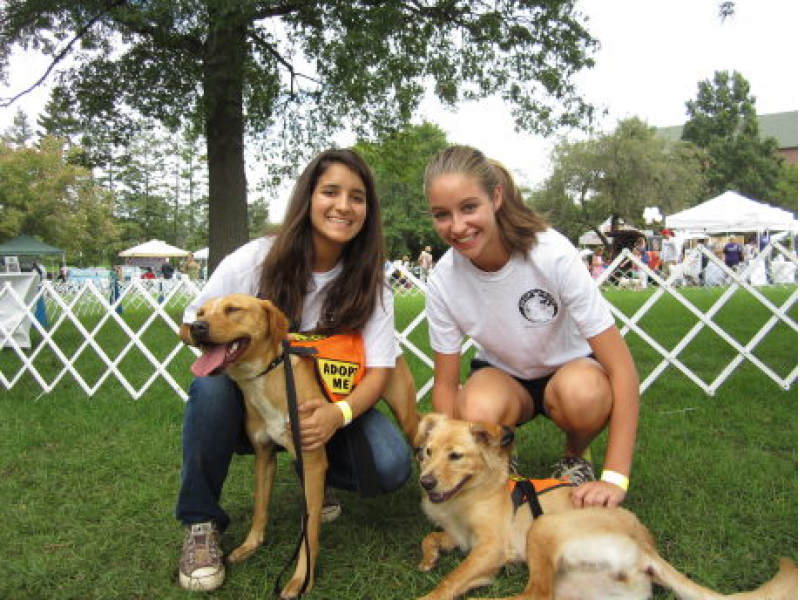 What to Look for in a Reputable Dog Rescue Organization
