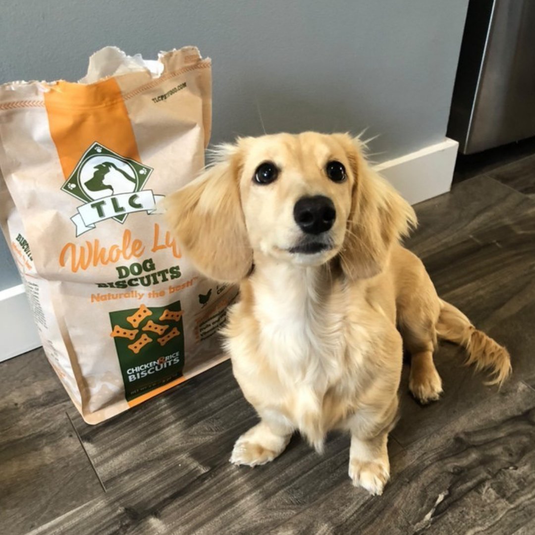 The Verdict Is In TLC Pet Food Is Good! PatchPets