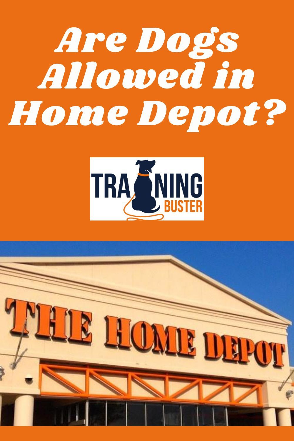 Bring Fido Along To Your Next Shopping Trip Sam’s Club Pet Policy