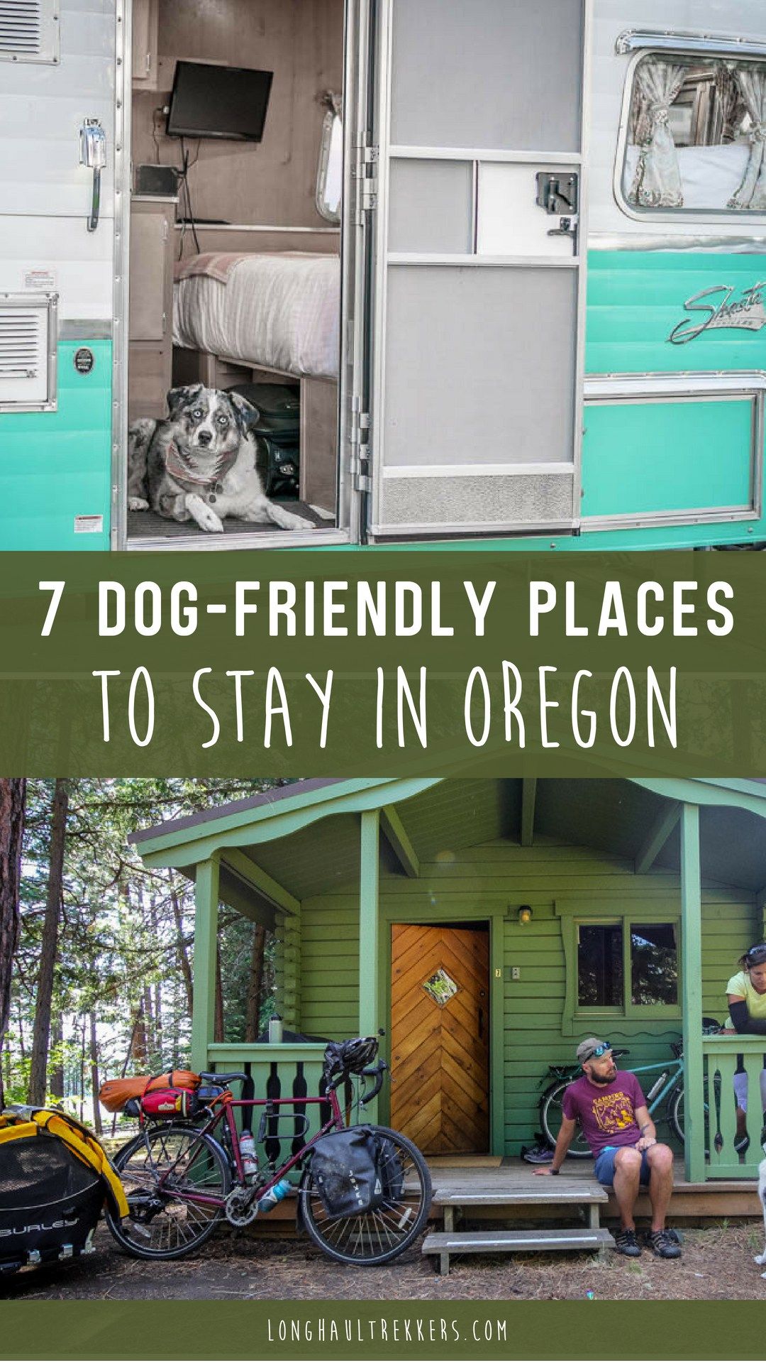 Explore Eugene’s PetFriendly A Comprehensive Guide