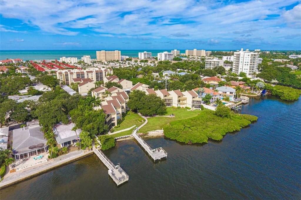 How To Find A Condo That Allows Cats PatchPets