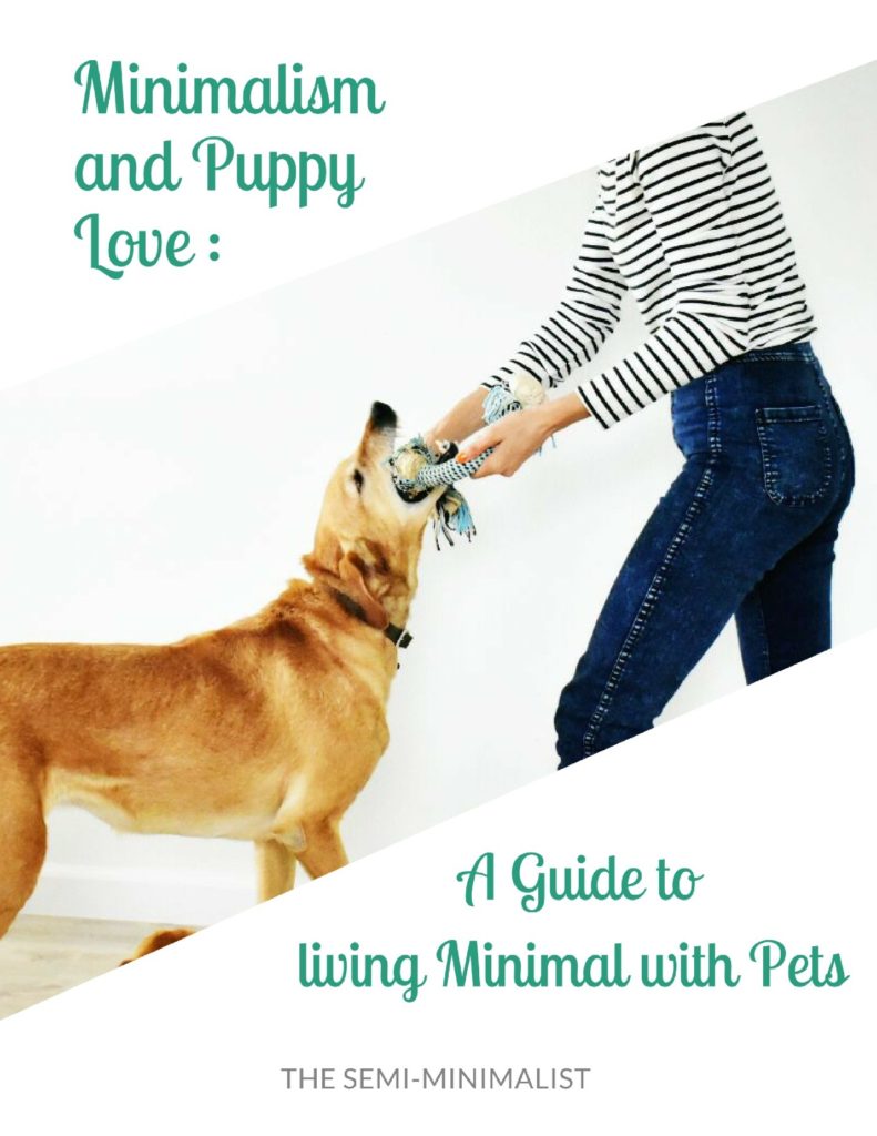 Best Western A PetFriendly Hotel Chain PatchPets