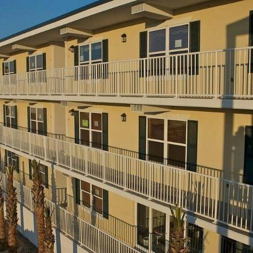 Looking For A Petfriendly Hotel? Look No Further Than Hotel Tybee