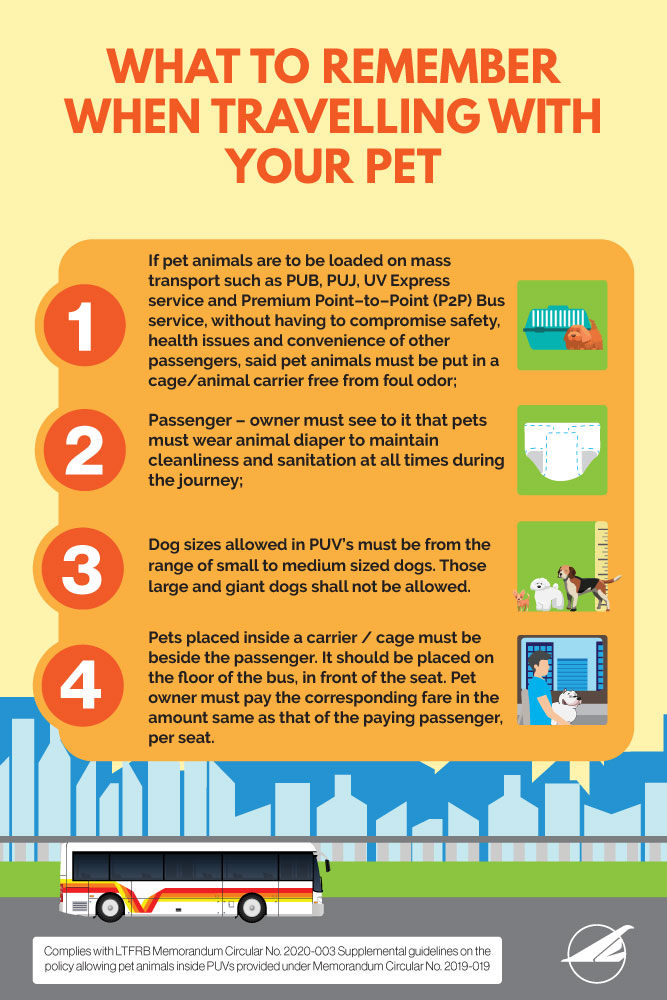 5YearOld Dog Pet Insurance Sample Quotes From Top Providers PatchPets