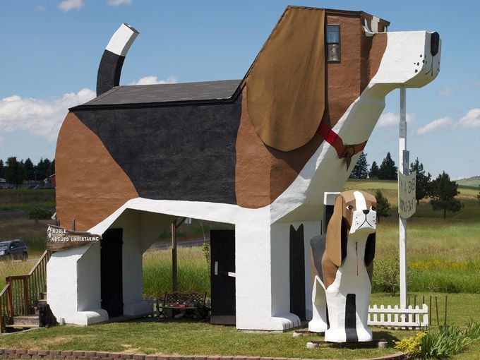 The Best PetFriendly Hotels In Rapid City PatchPets