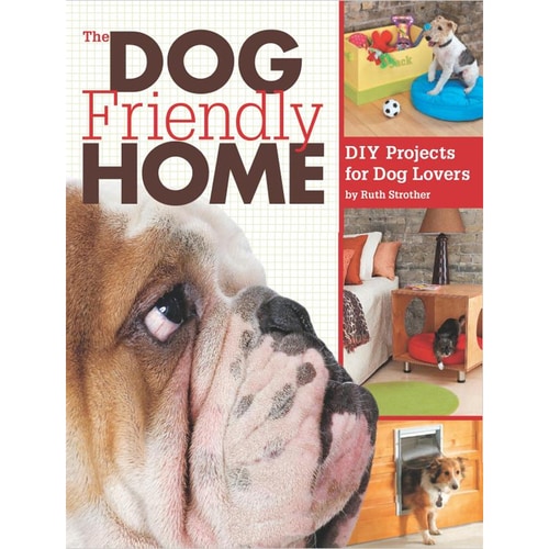 PetFriendly Countries To Visit On Your Next Vacation PatchPets