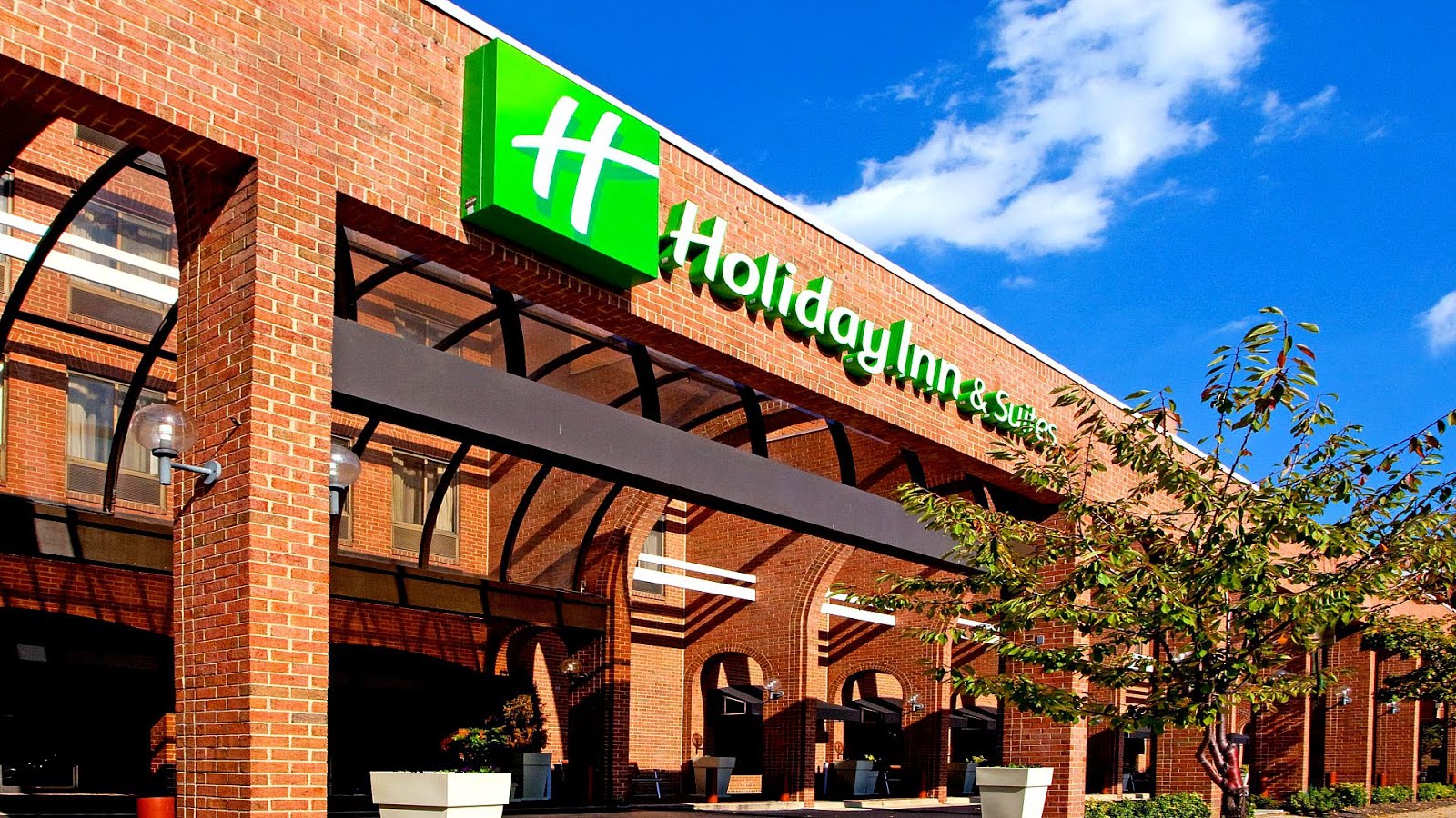 Explore PetFriendly Hotels In Arlington Texas Comfortable Stays For You And Your Furry Friend