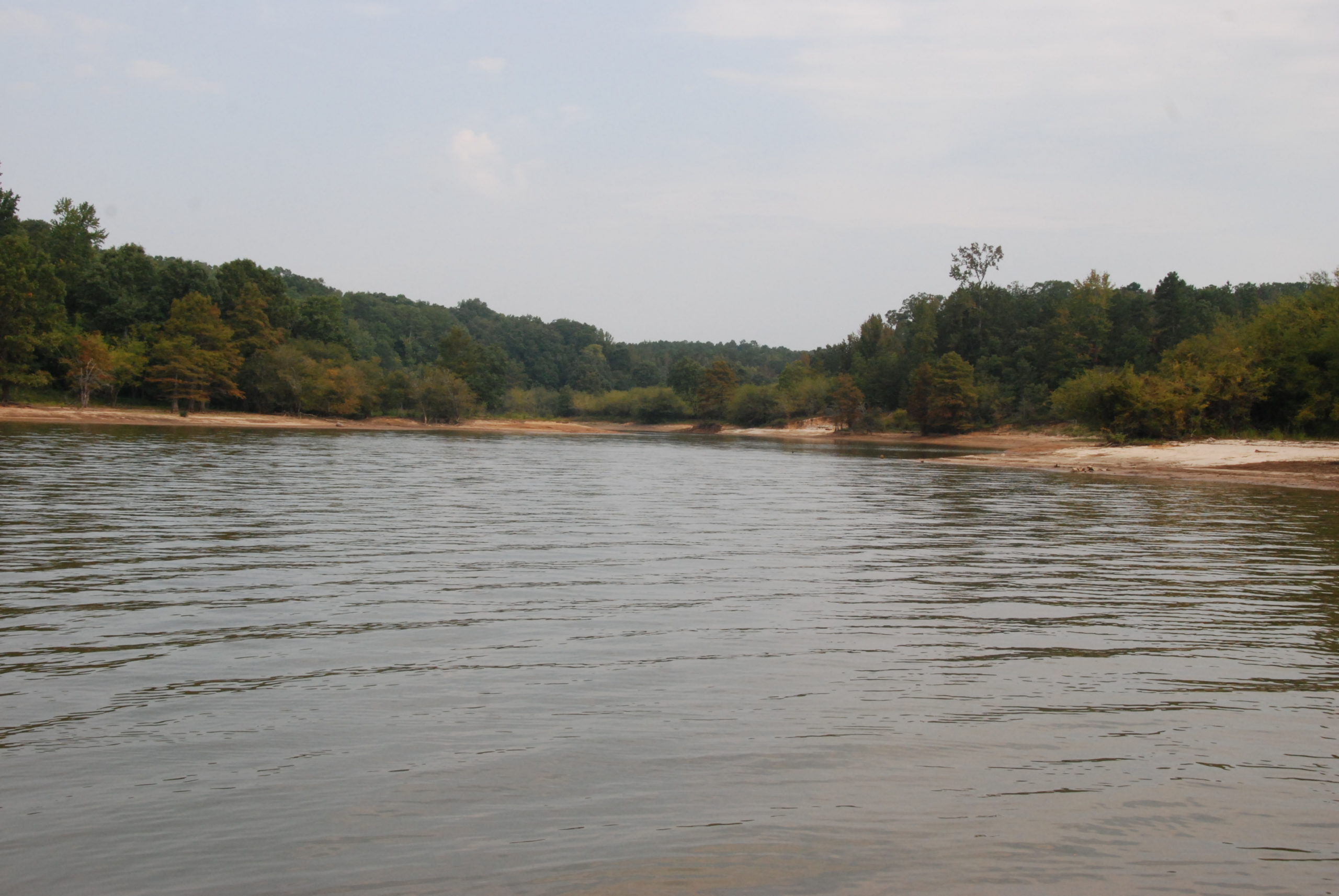 Bring Your Furry Friend On Vacation Enjoy A Getaway At Hugh White