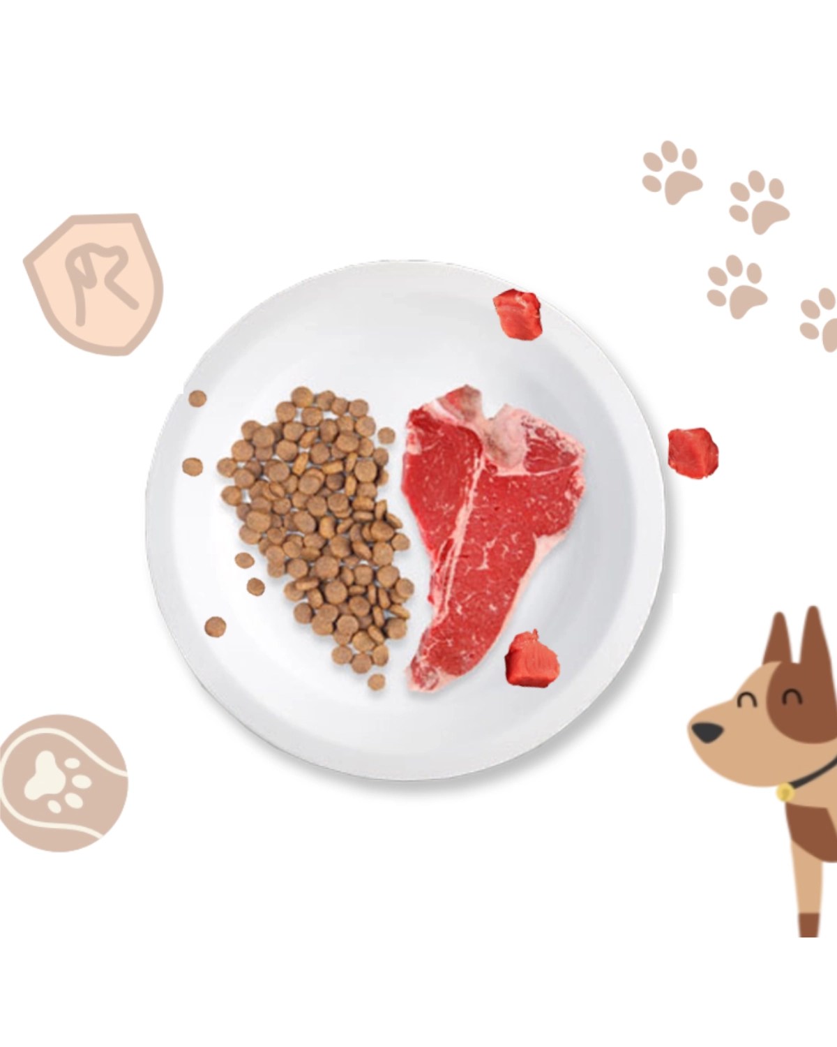 Why Feed Fresh Food? Fresh Dog Food For Pets, By Pet Parents.