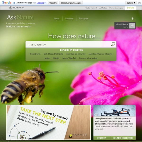 Ask Nature the Biomimicry Design Portal biomimetics, architecture