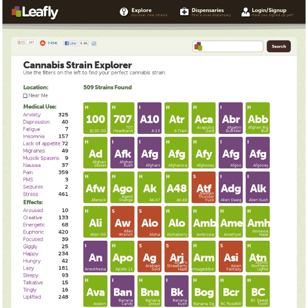 Drawing Family Tree Genetics Pic - Cannabis Strain Family Tree - High Times