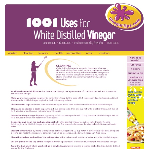 Vinegar Tips Cleaning with Vinegar Pearltrees