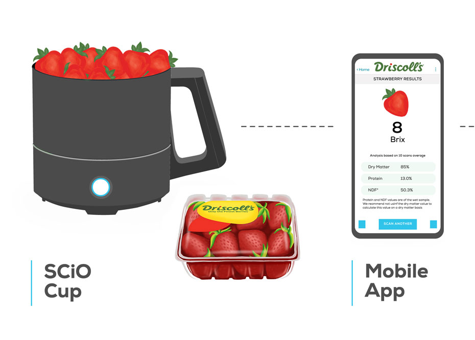 Driscoll’s Adopts FirstInIndustry Technology Solution to Measure and