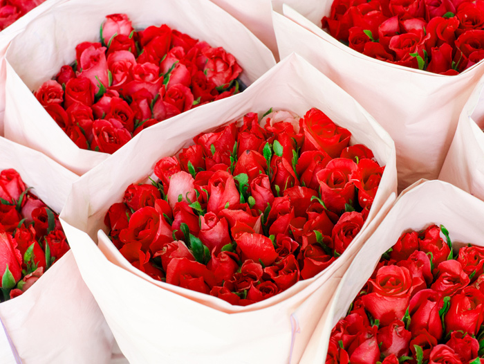 FarmtoFlorist Direct How Sunny Meadows Flower Farm Created a