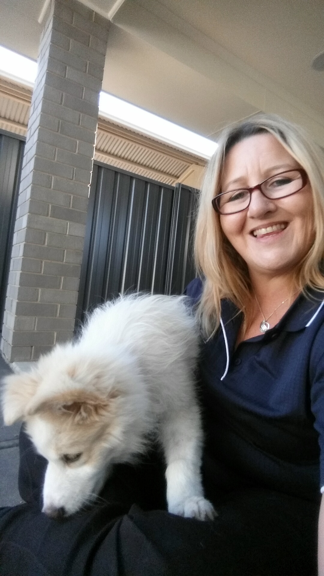 Pet Sitter near me, Pet Sitting in Whyalla Norrie, SA PetCloud Donna Z PetCloud