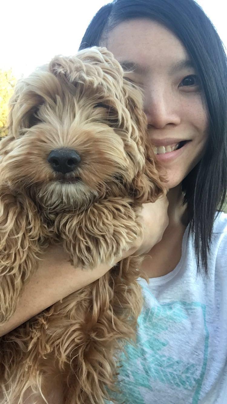 BFF Pet Lover Indooroopilly, QLD PetCloud