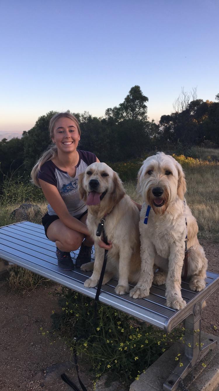 Pet Sitter near me, Pet Sitting in Chisholm, ACT PetCloud kate p