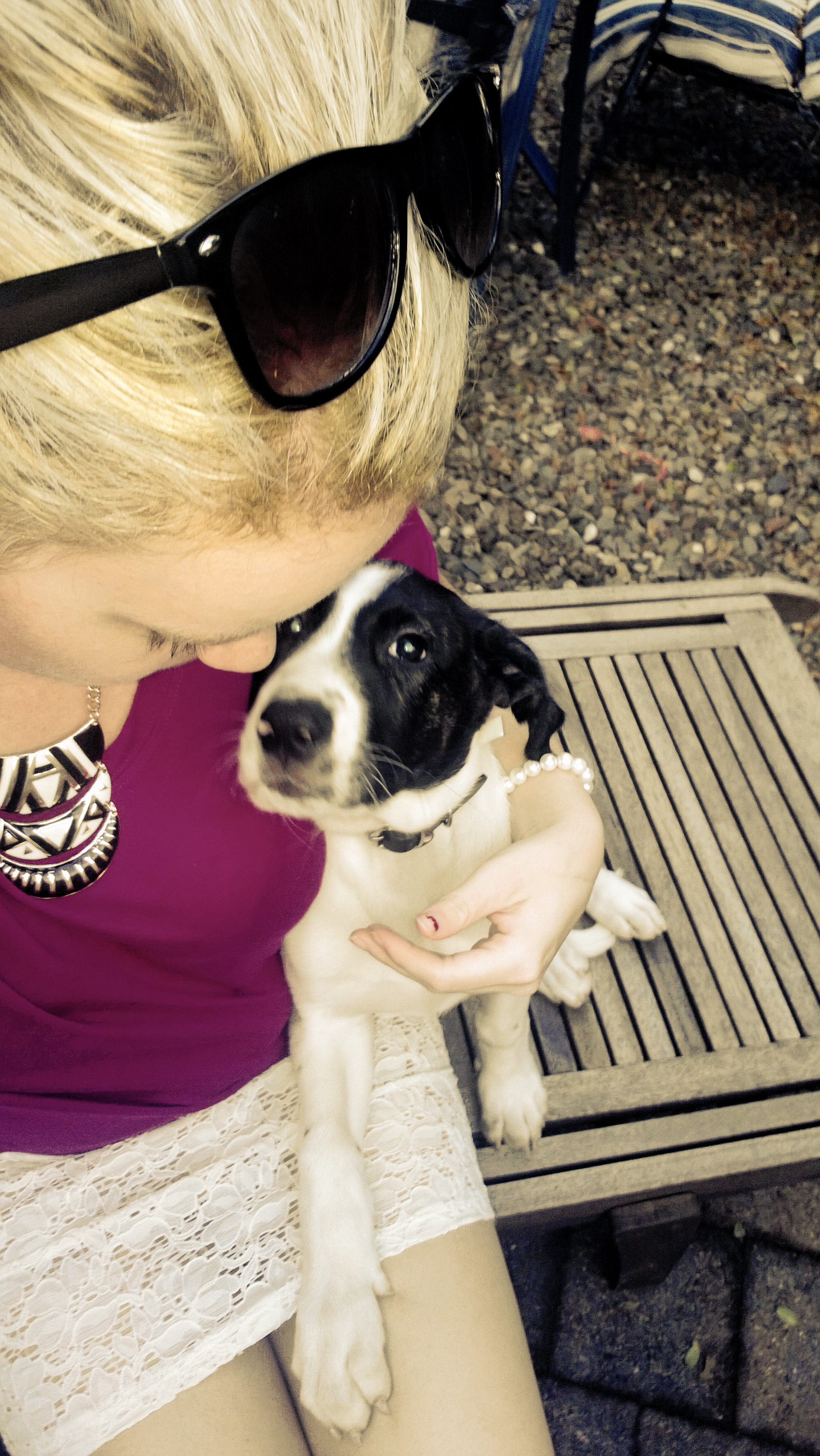 Pet Sitter near me, Pet Sitting in Kangaroo Point, QLD PetCloud